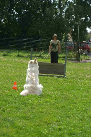 obeissance 2014-08-02